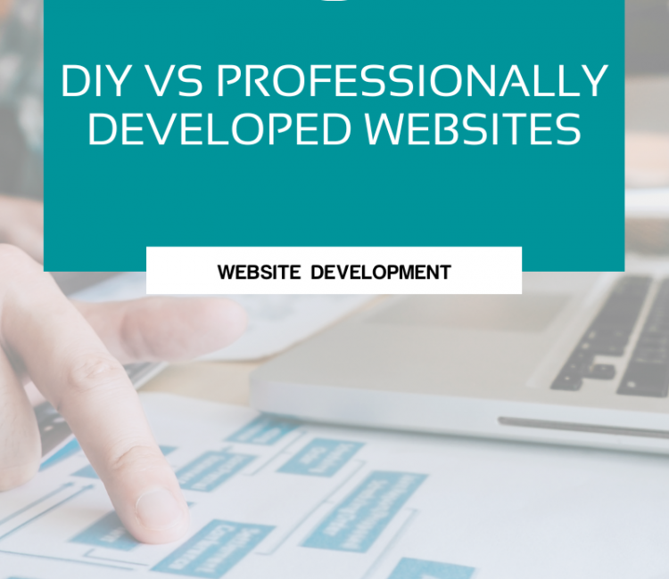 DIY VS Professionally Developed Websites